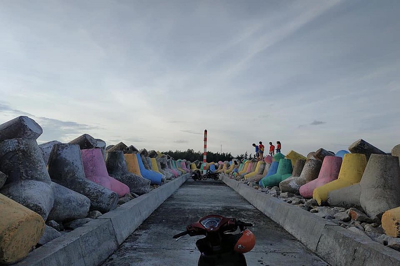 Ảnh slide minh họa 8